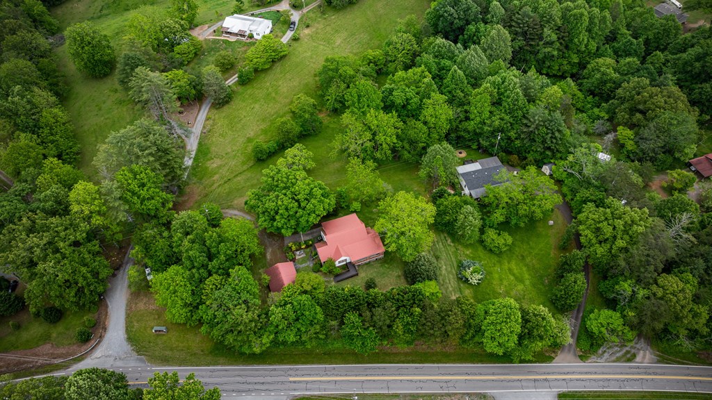 16 Hollow Springs Road Blue Ridge, GA 30513 - Photo 6 of 62 a view of a yard and potted plants