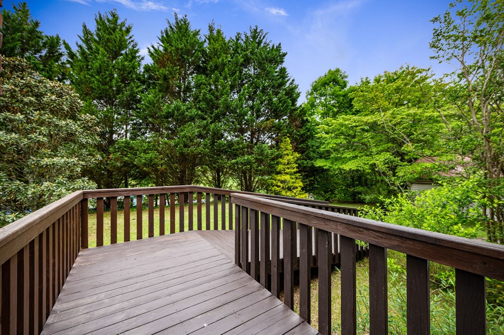 16 Hollow Springs Road Blue Ridge, GA 30513 - Photo 7 of 62 a balcony with wooden floor and plant