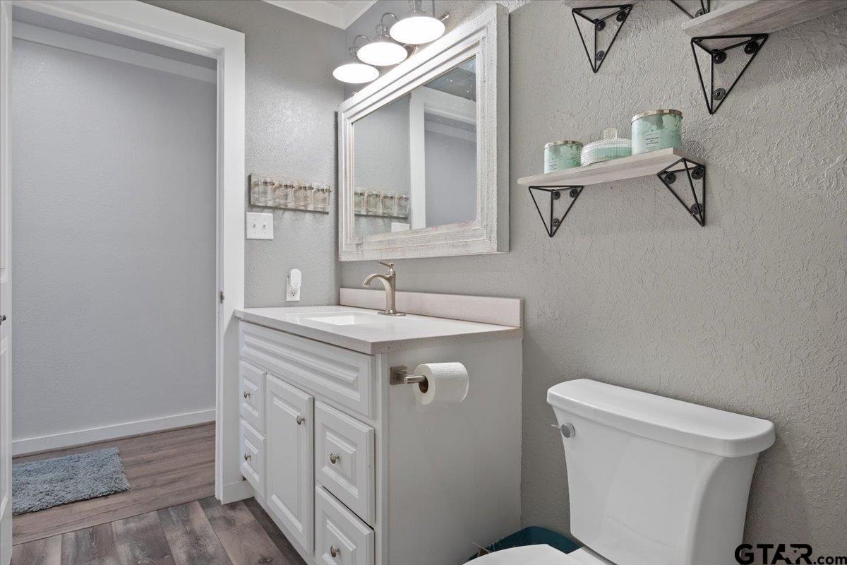 594 County Rd NE 2120 Talco, TX 75487 - Photo 18 of 36 a bathroom with a sink a toilet a mirror and vanity