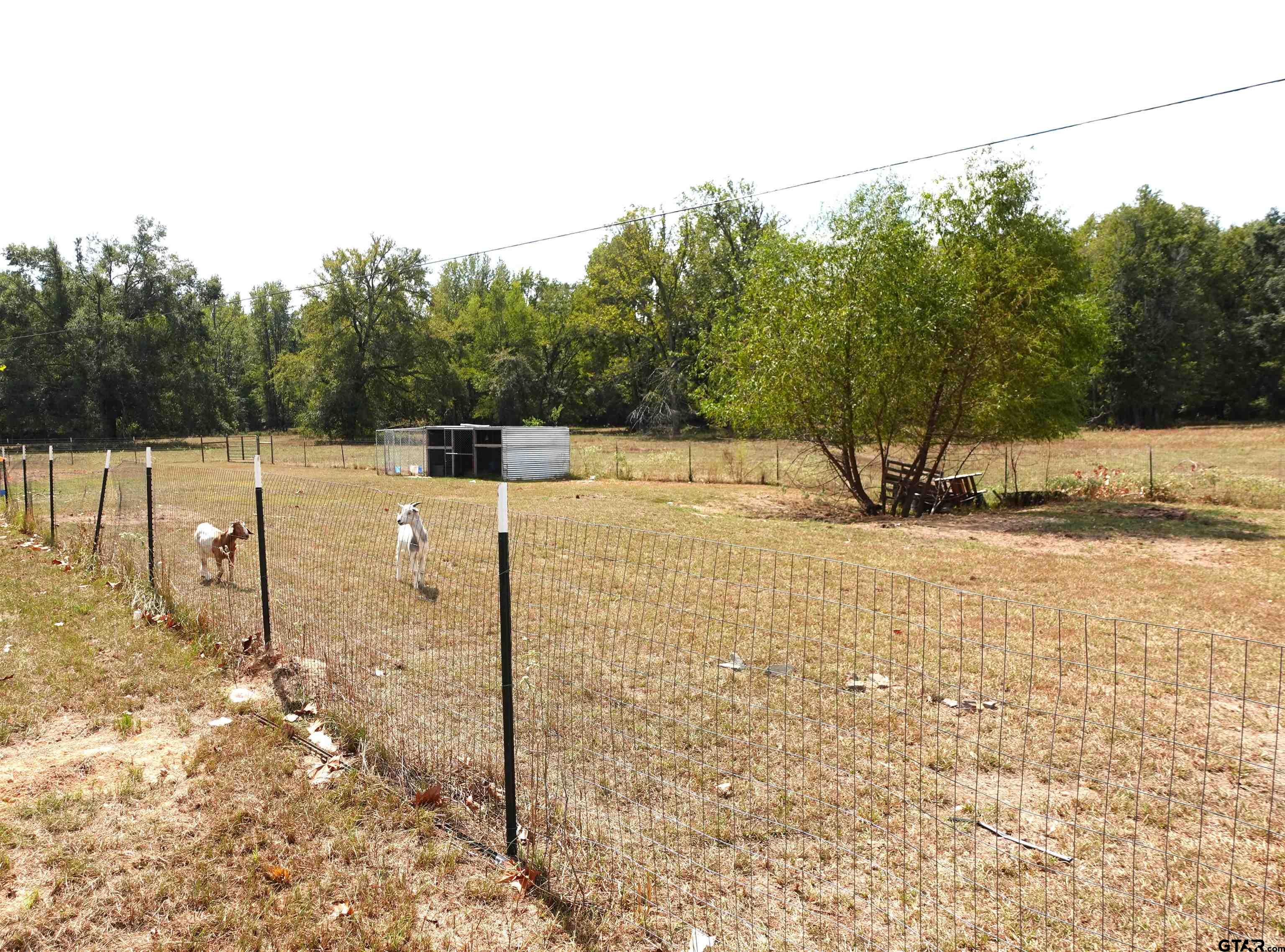594 County Rd NE 2120 Talco, TX 75487 - Photo 29 of 36 a view of a backyard