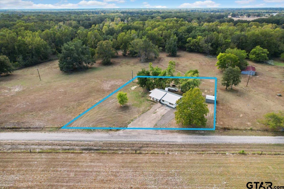 594 County Rd NE 2120 Talco, TX 75487 - Photo 32 of 36 a view of a backyard of a house with lots of green space