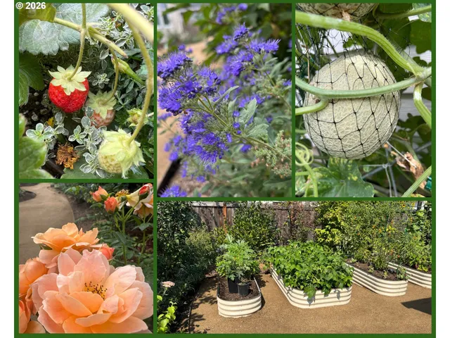 $679,500 | 807 Ike Mooney Road Northeast, Silverton, OR 97381