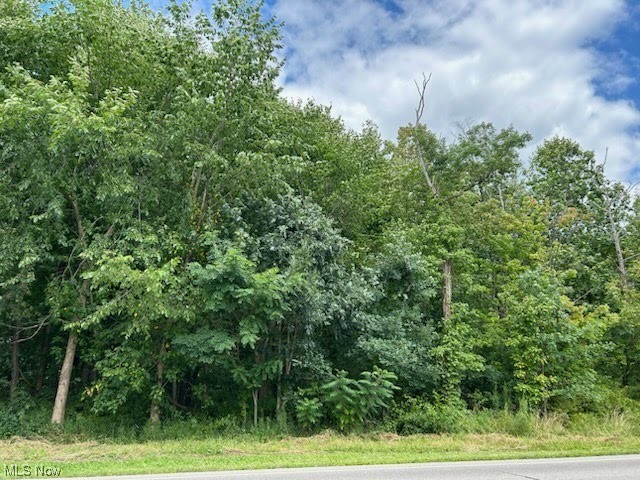 Old State Road Middlefield, OH 44062 - Photo 1 of 5