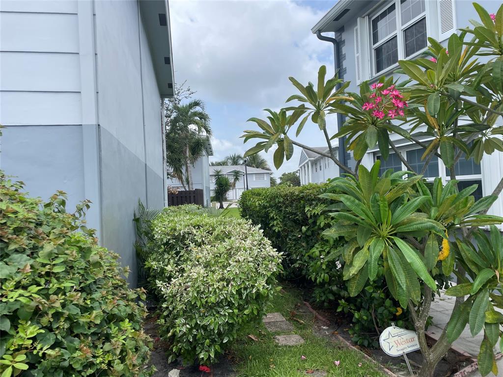 1775 Southwest 81st Way Davie, FL 33324 - Photo 25 of 35 a plant that is in front of a building