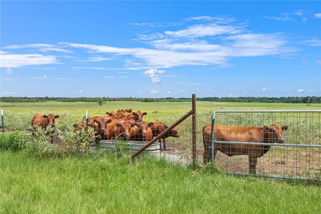 a view of a street with an ocean view