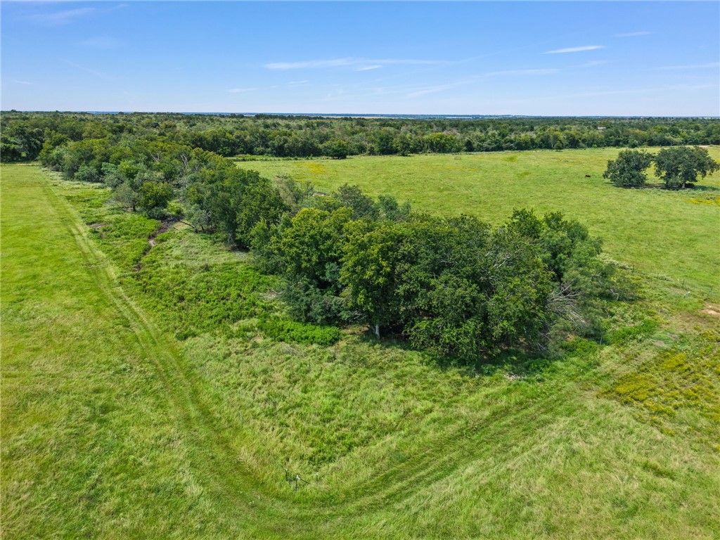 2970 County Road 270 Cameron, TX 76520 - Photo 46 of 50 a view of a green field with lots of bushes