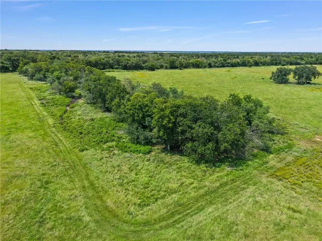 a view of a green field with lots of bushes
