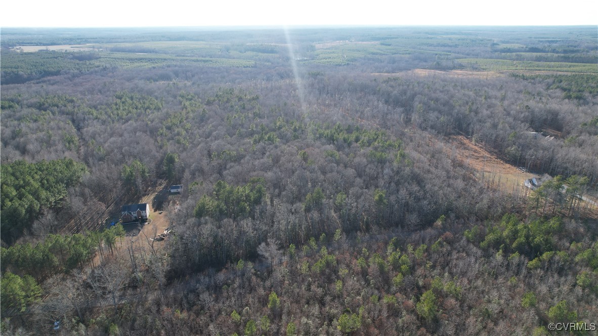 Lot 9 Colemans Lake Road Ford, VA 23850 - Photo 20 of 50