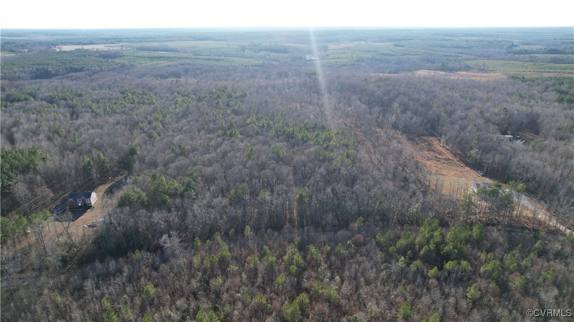 Lot 9 Colemans Lake Road Ford, VA 23850 - Photo 21 of 50