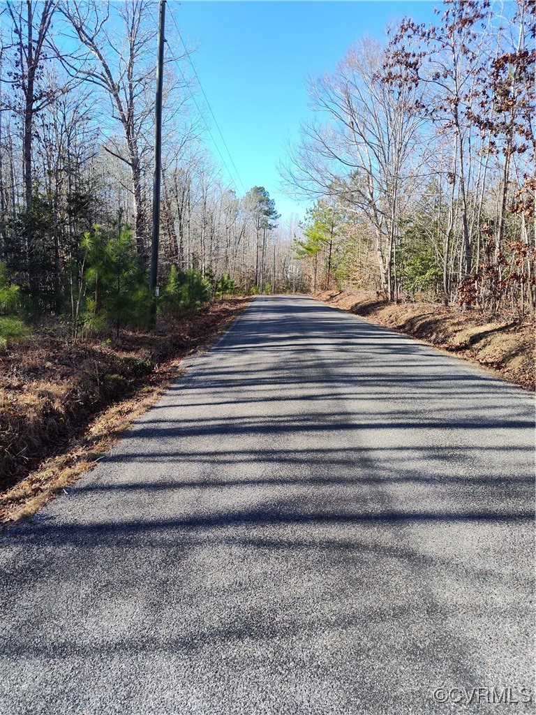 Lot 9 Colemans Lake Road Ford, VA 23850 - Photo 29 of 50 a view of backyard with green space