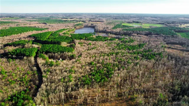 $134,700 | Lot 9 Colemans Lake Road, Ford, VA 23850