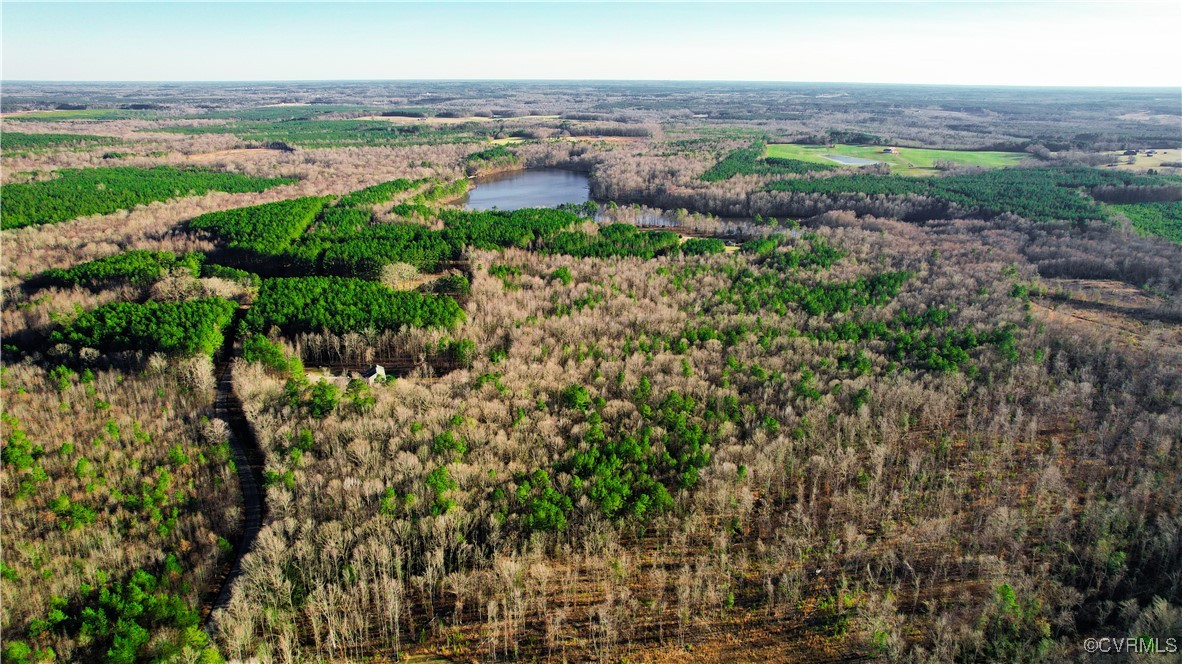 Lot 9 Colemans Lake Road Ford, VA 23850 - Photo 3 of 50