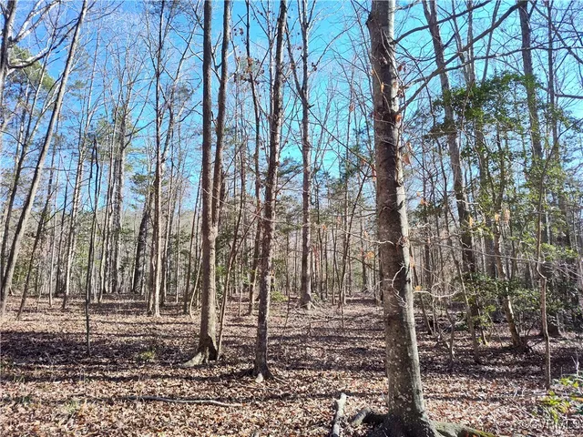 $134,700 | Lot 9 Colemans Lake Road, Ford, VA 23850