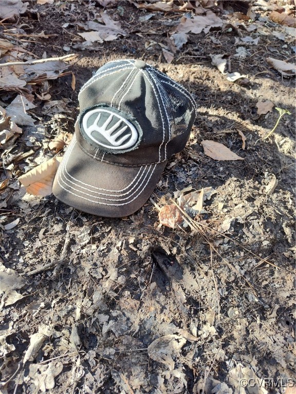 Lot 9 Colemans Lake Road Ford, VA 23850 - Photo 34 of 50