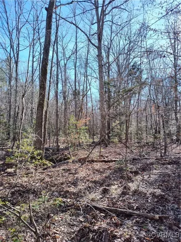 $134,700 | Lot 9 Colemans Lake Road, Ford, VA 23850