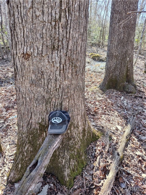 Lot 9 Colemans Lake Road Ford, VA 23850 - Photo 36 of 50