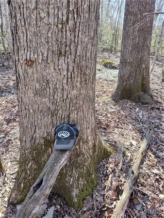 a view of a park with iron fence