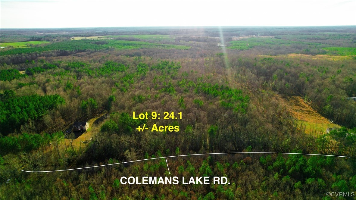 Lot 9 Colemans Lake Road Ford, VA 23850 - Photo 4 of 50