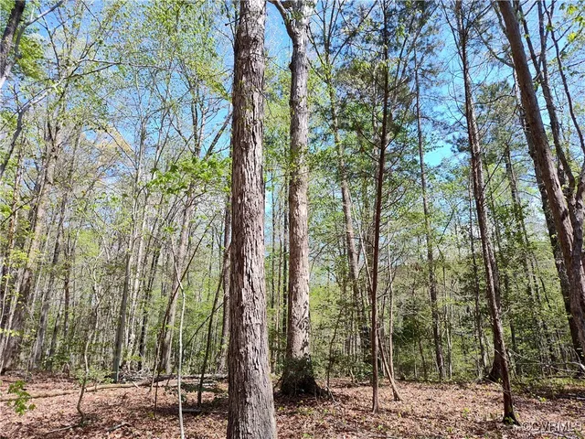 $134,700 | Lot 9 Colemans Lake Road, Ford, VA 23850