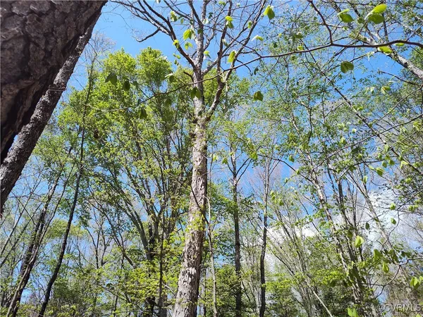 $137,900 | Lot 9 Colemans Lake Road, Ford, VA 23850