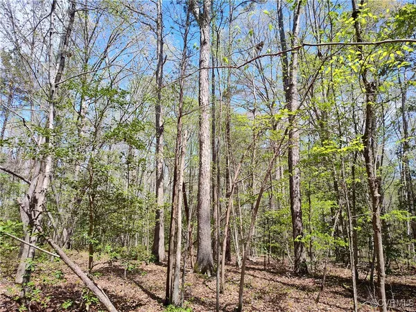 $137,900 | Lot 9 Colemans Lake Road, Ford, VA 23850