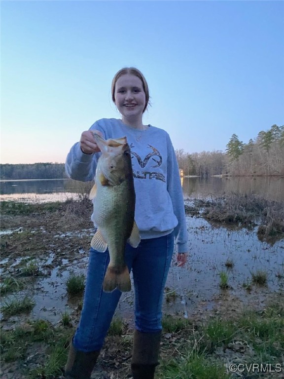 Lot 9 Colemans Lake Road Ford, VA 23850 - Photo 8 of 50