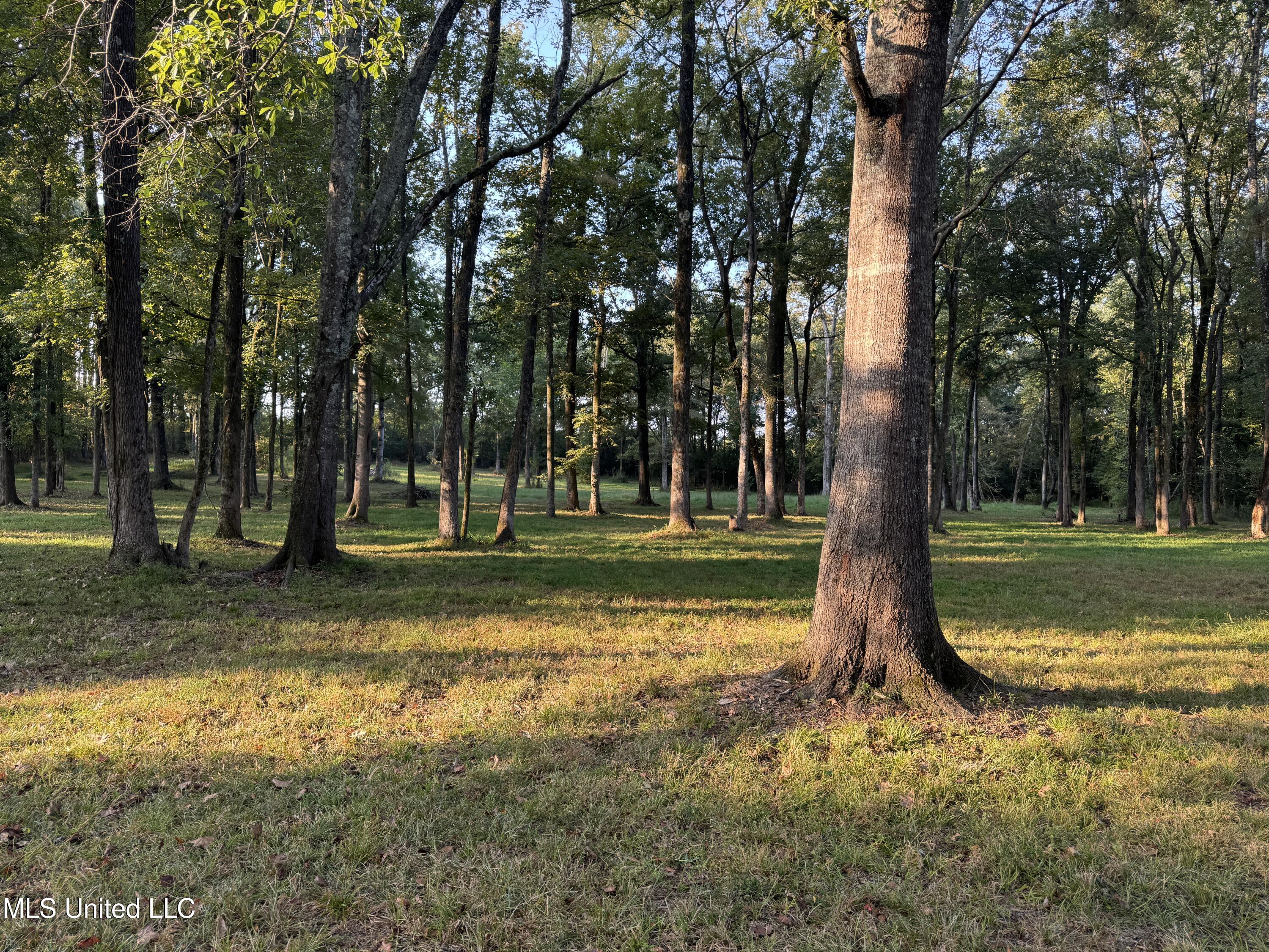 0 South Siwell Road Byram, MS 39212 - Photo 1 of 27 Residential/Hunting