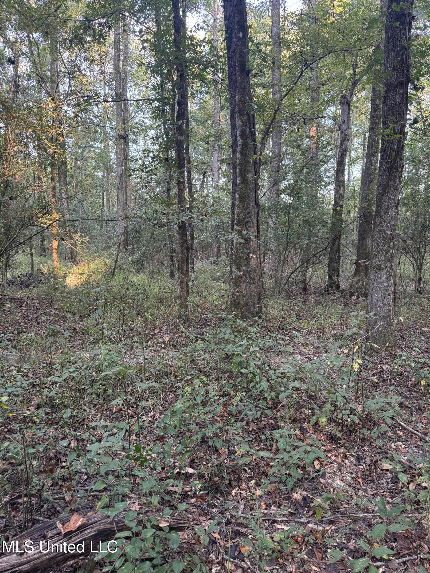 0 South Siwell Road Byram, MS 39212 - Photo 11 of 27 Photo Sep 12 2025, 8 09 24 AM