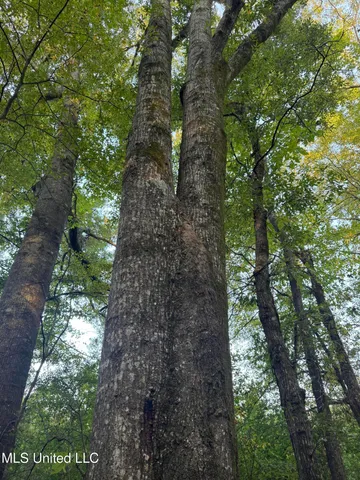 $87,500 | 0 South Siwell Road, Byram, MS 39212