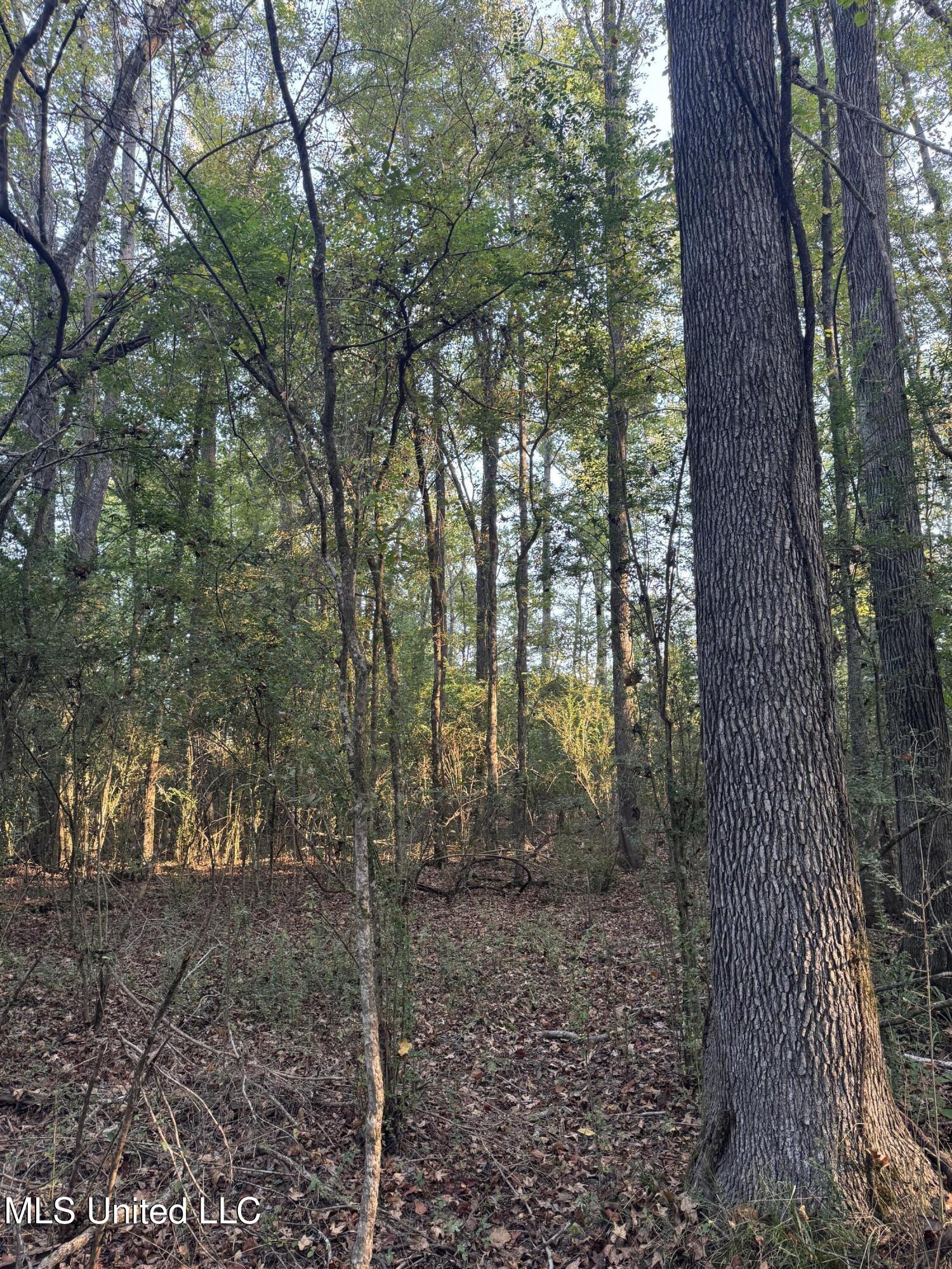 0 South Siwell Road Byram, MS 39212 - Photo 13 of 27 Photo Sep 12 2025, 8 11 09 AM