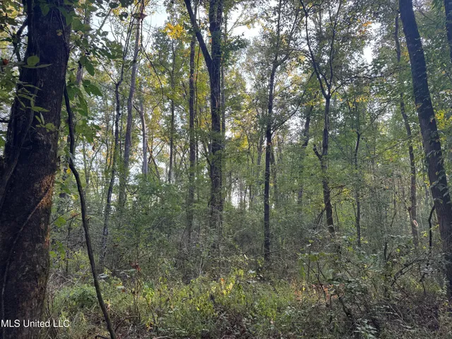 $87,500 | 0 South Siwell Road, Byram, MS 39212