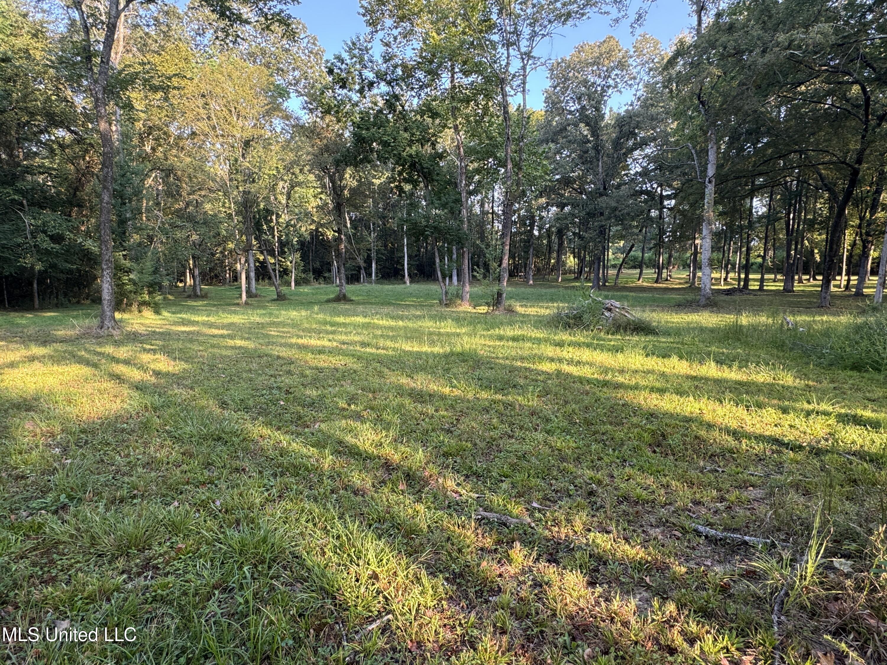 0 South Siwell Road Byram, MS 39212 - Photo 15 of 27 Photo Sep 12 2025, 8 15 49 AM