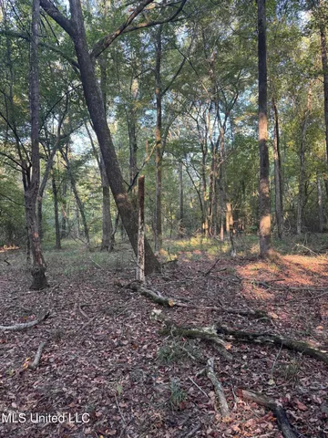 $87,500 | 0 South Siwell Road, Byram, MS 39212