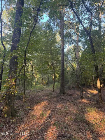 $87,500 | 0 South Siwell Road, Byram, MS 39212