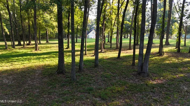 $87,500 | 0 South Siwell Road, Byram, MS 39212