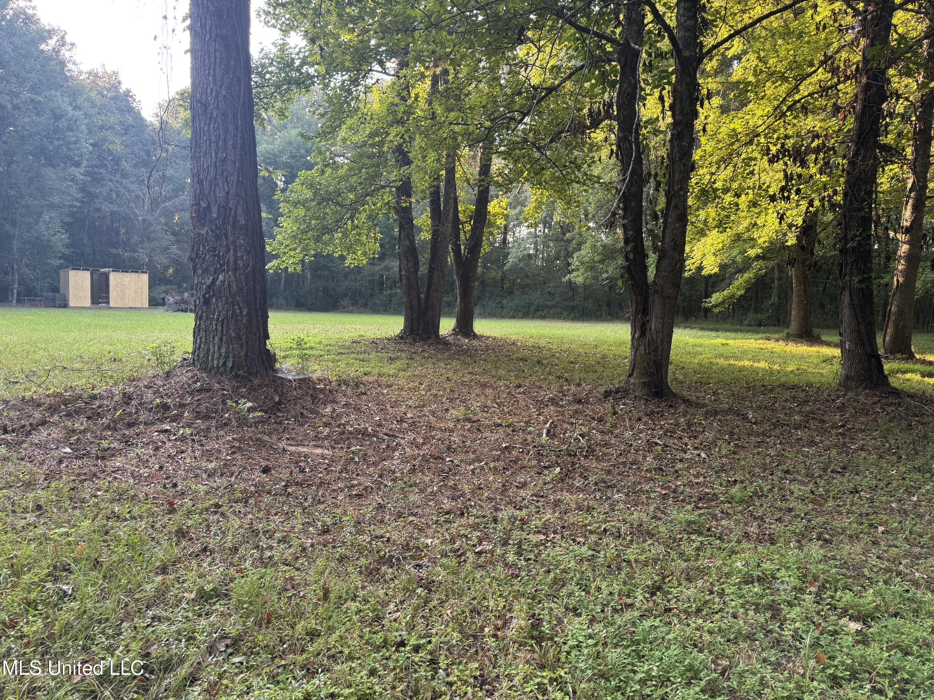 0 South Siwell Road Byram, MS 39212 - Photo 4 of 27 4