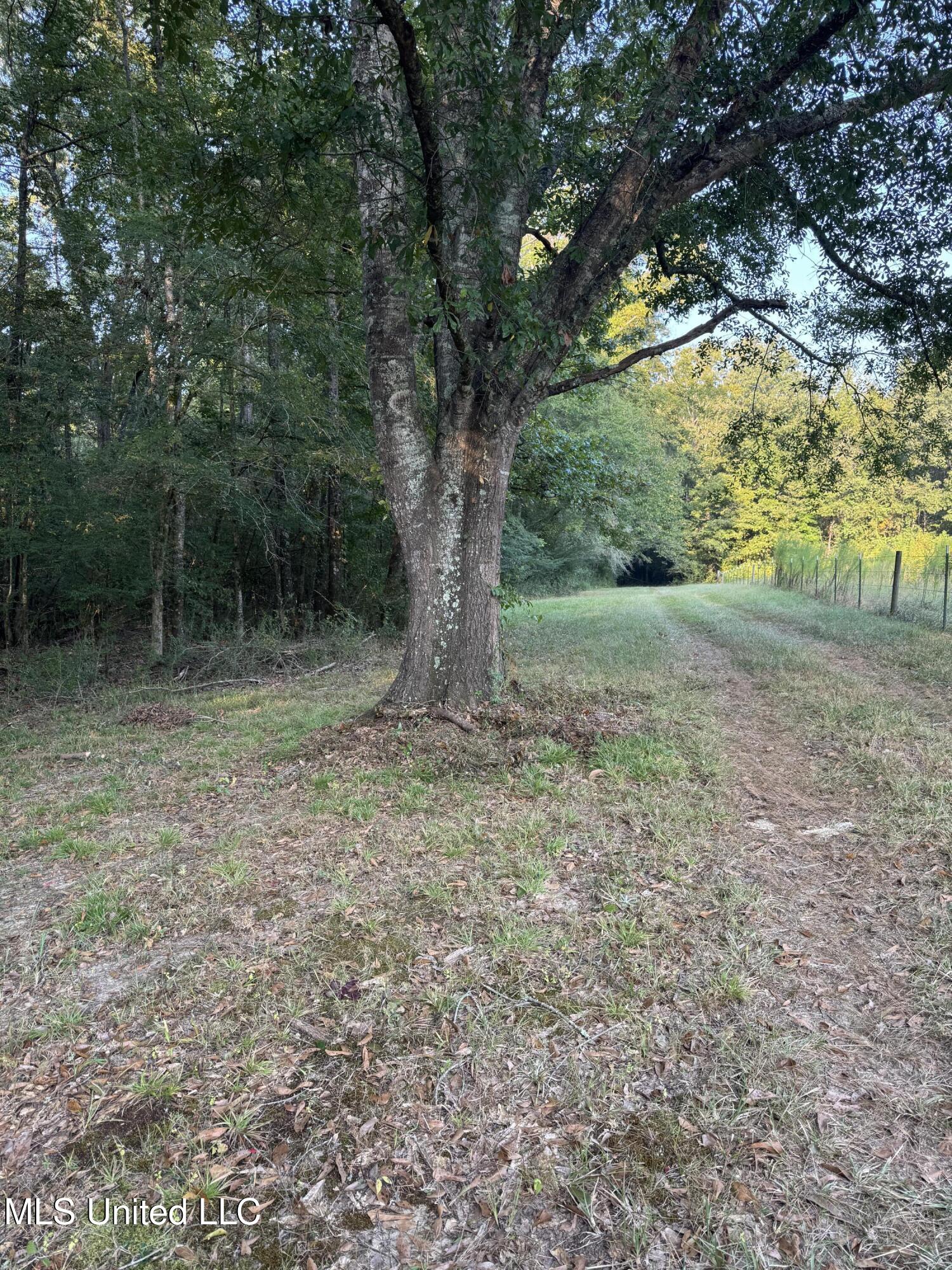 0 South Siwell Road Byram, MS 39212 - Photo 7 of 27 Photo Sep 12 2025, 8 05 21 AM