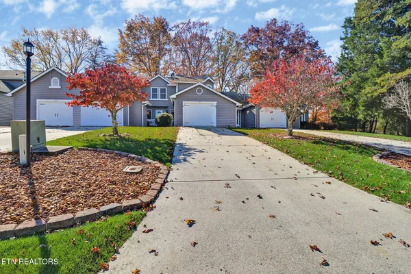 a house with a tree in front of it