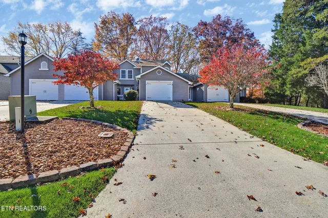 a house with a tree in front of it