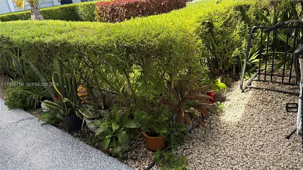 a view of a garden with plants and large trees