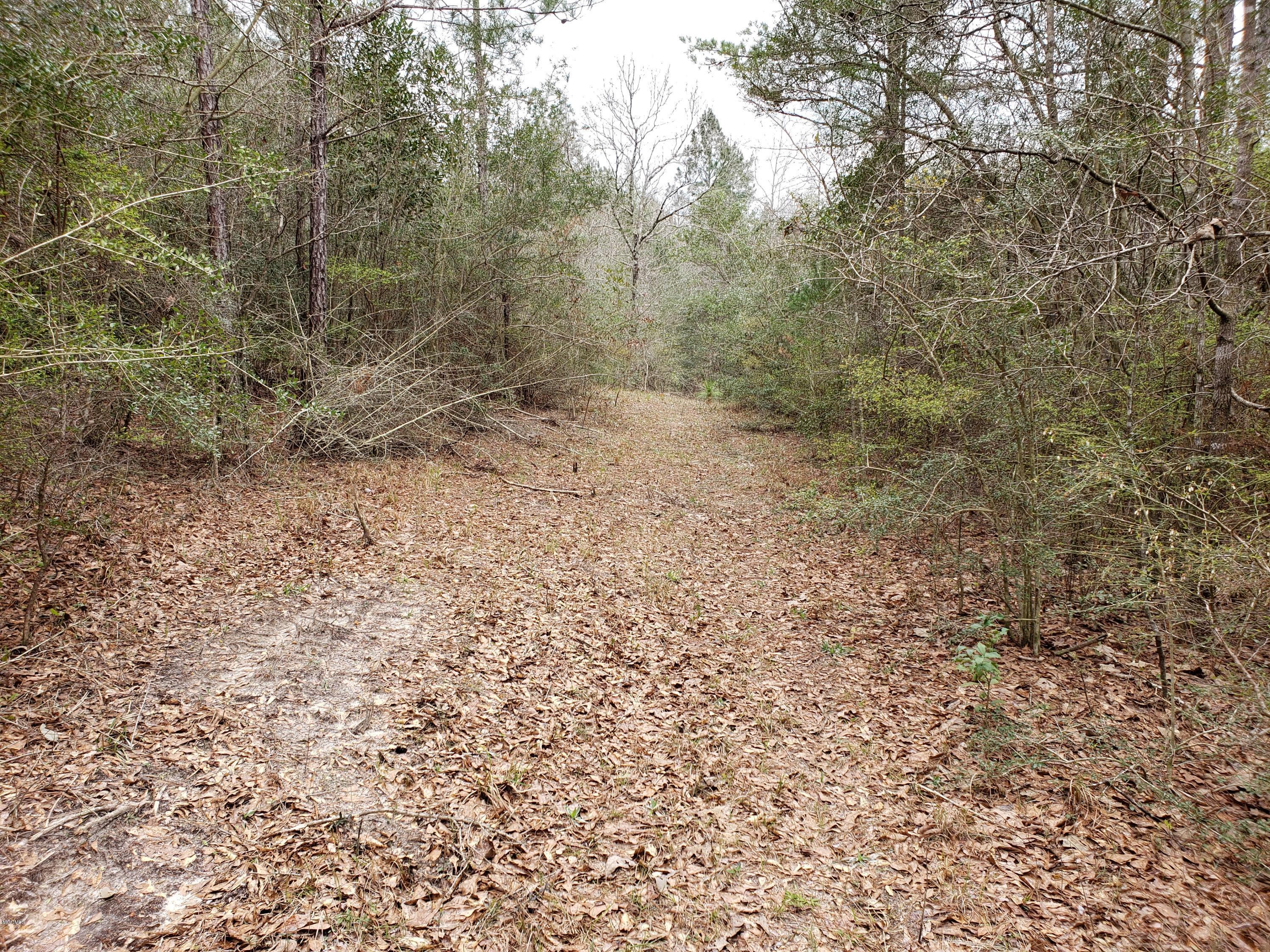 87 Sammy Jo Road Lumberton, MS 39455 - Photo 1 of 1 20190228_142010