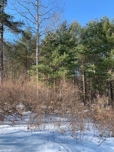 0 Lodge Road Crystal Spring, PA 15536 - Photo 8 of 54 Gallery Image 8