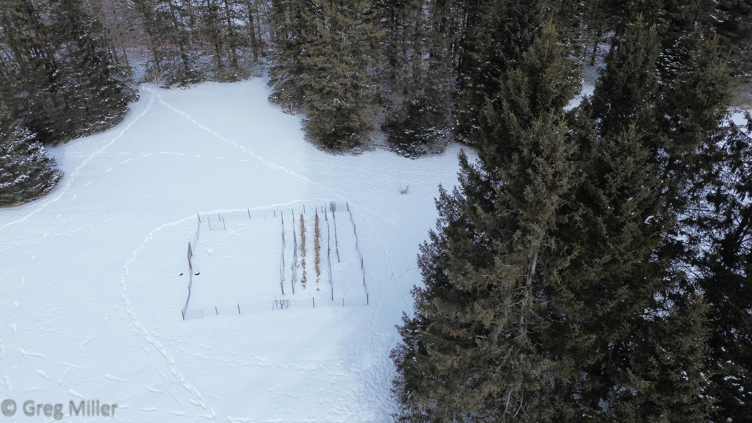 1673 Ludlow Road Ludlow, ME 04730 - Photo 41 of 53 DJI_0074