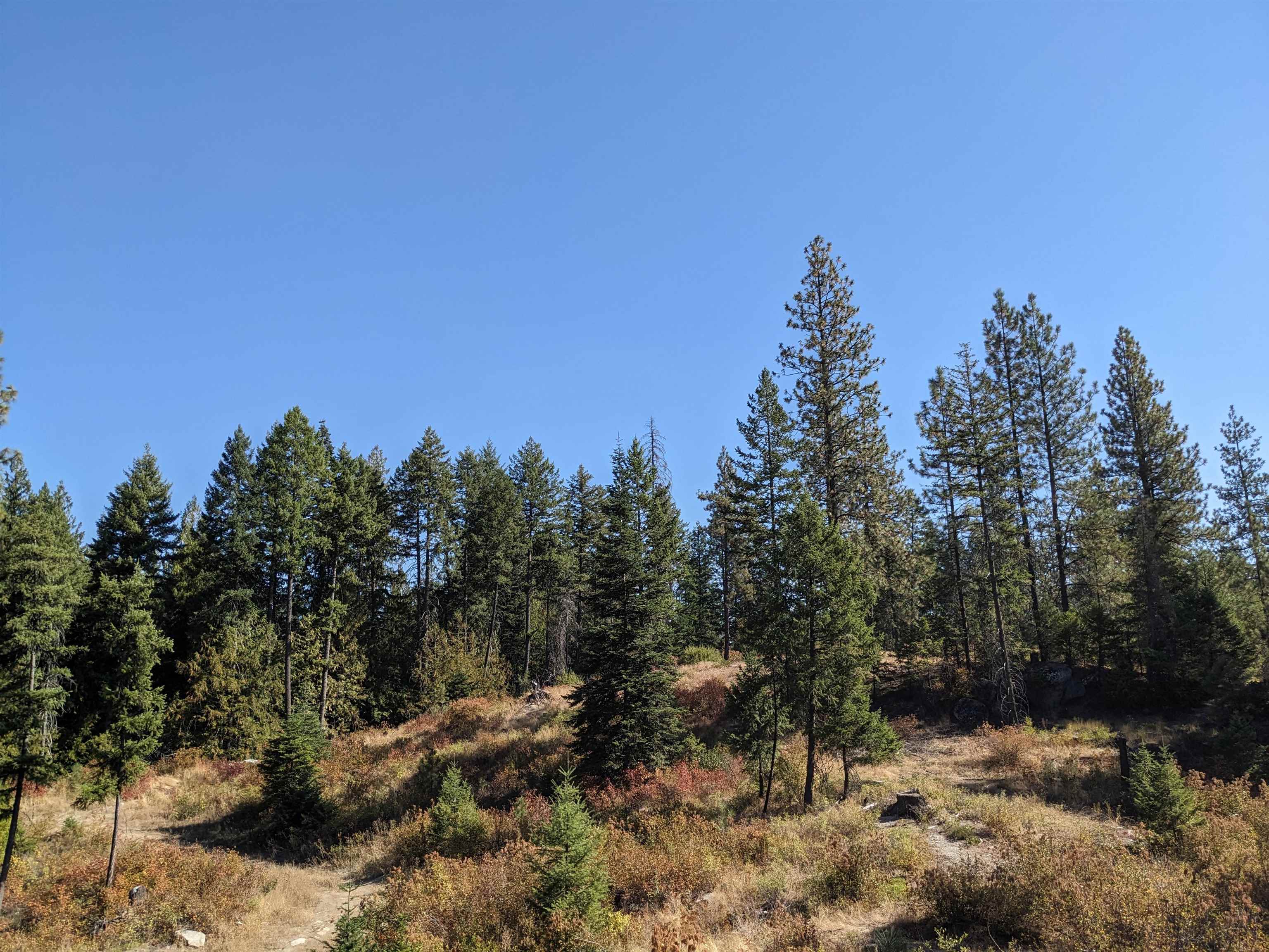 2 Veit Road Newport, WA 99156 - Photo 11 of 17