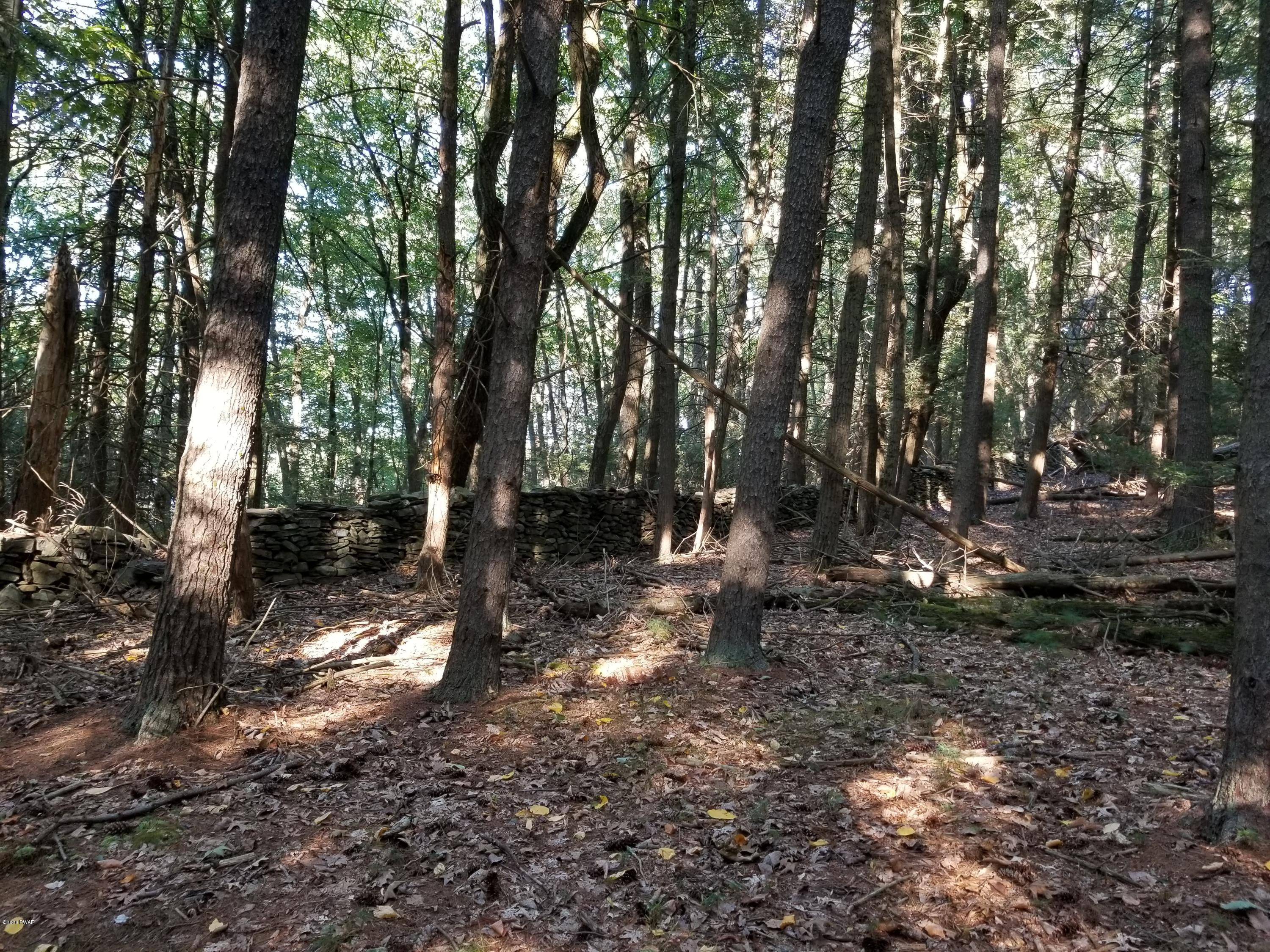 Coutts Point Drive Paupack, PA 18451 - Photo 18 of 22