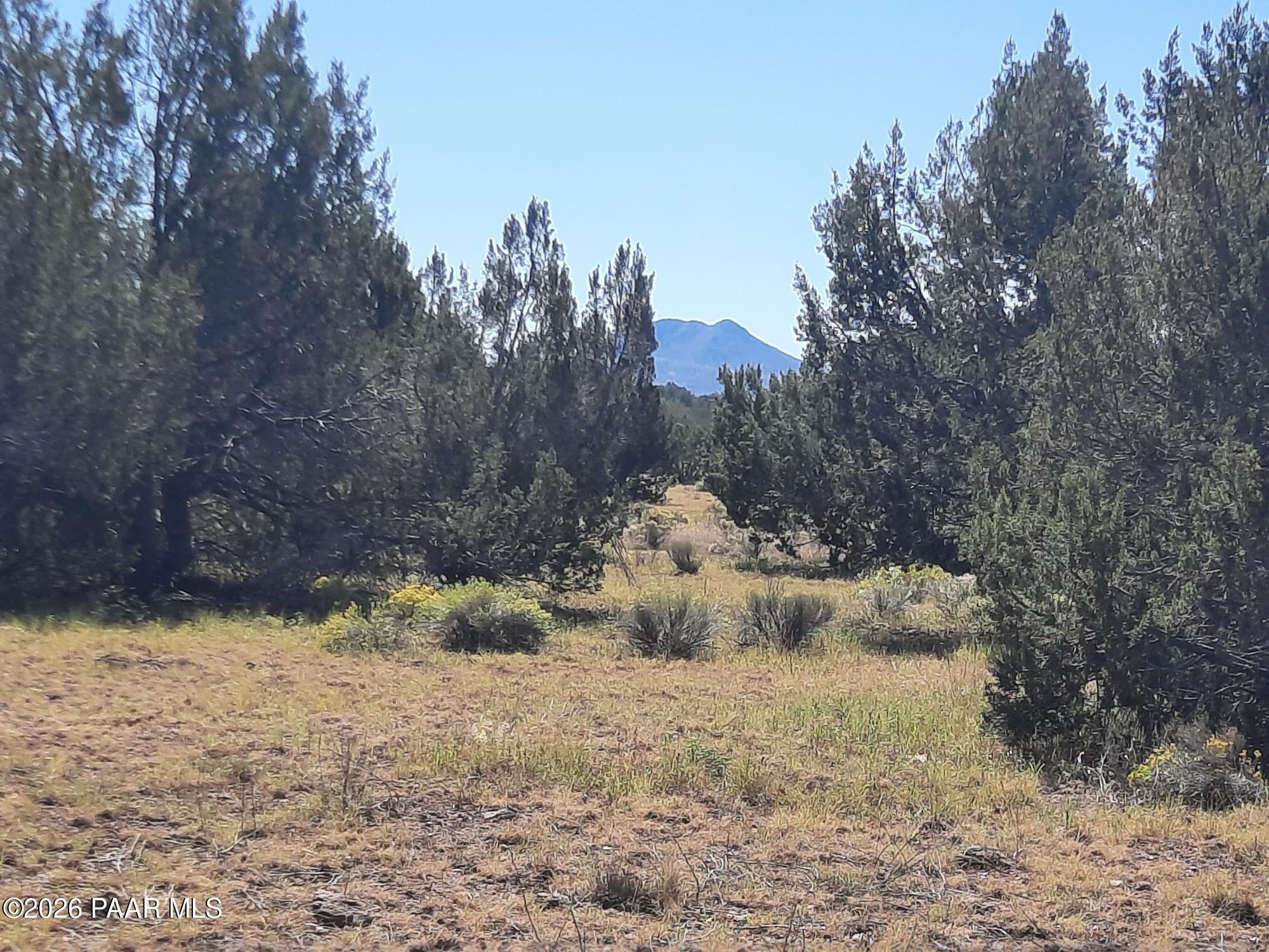 Lot 1371 Last Chance Road Seligman, AZ 86337 - Photo 2 of 20 20261001_113852