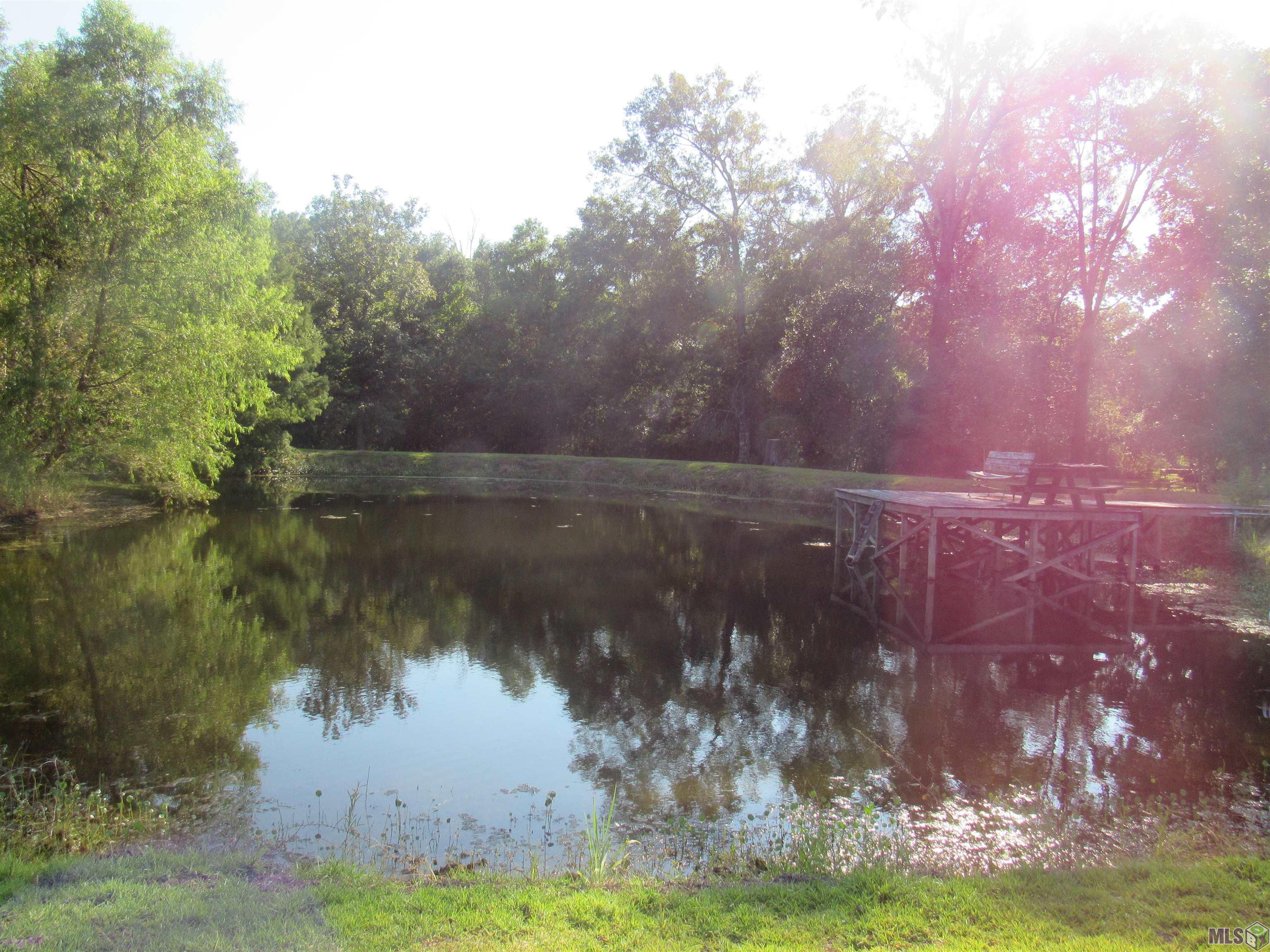 16010 Peairs Road Pride, LA 70770 - Photo 9 of 60