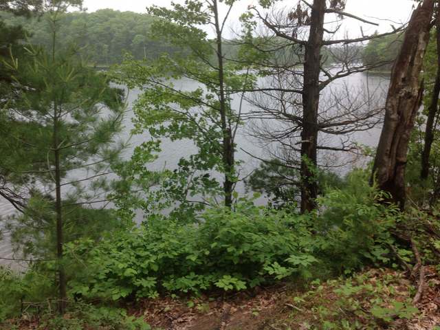 On Washburn Lake Road Rhinelander, WI 54501 - Photo 2 of 8 Gallery Image 2