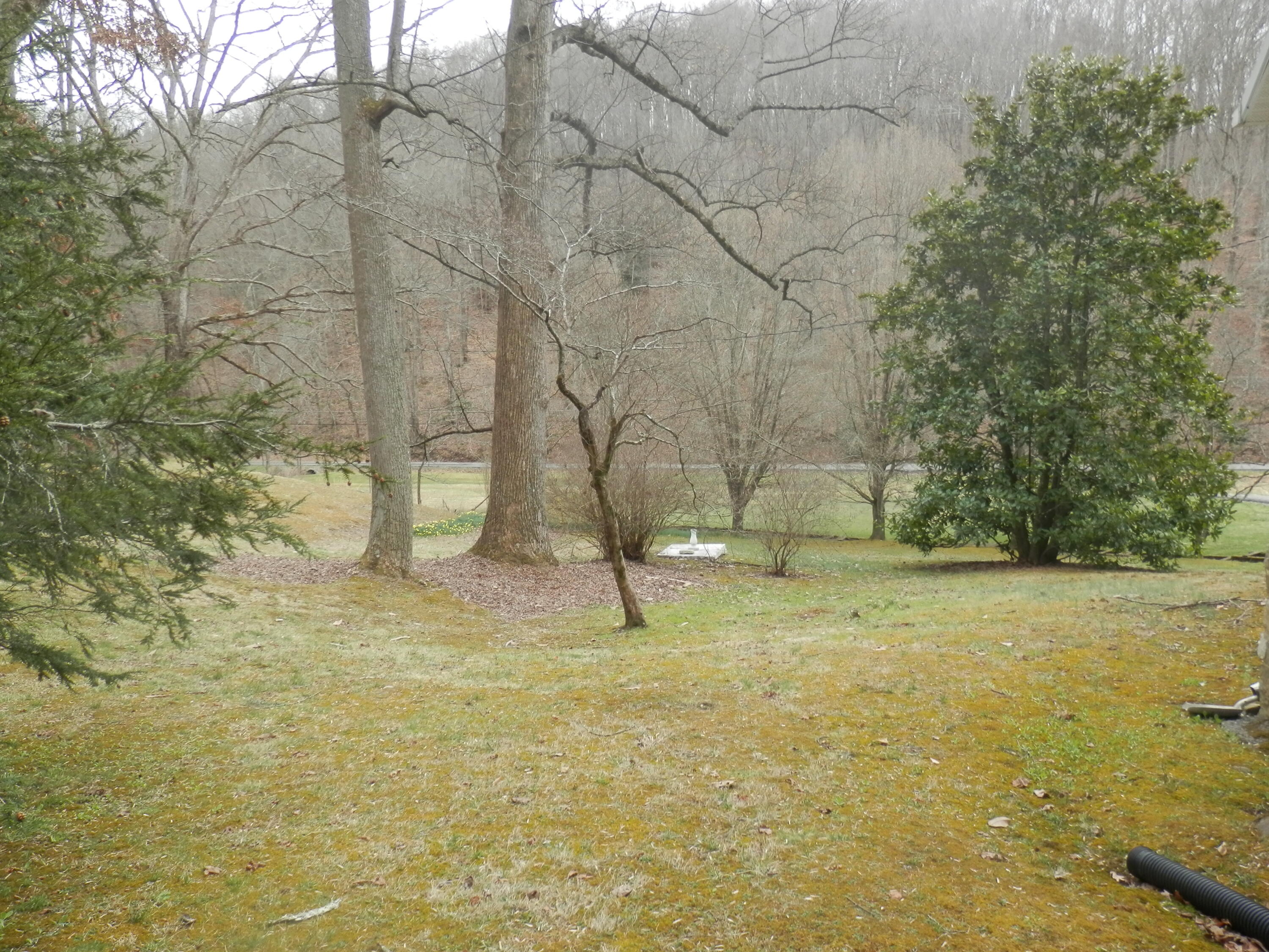 2078 Left Poor Valley Road Pennington Gap, VA 24277 - Photo 45 of 57 P3180772