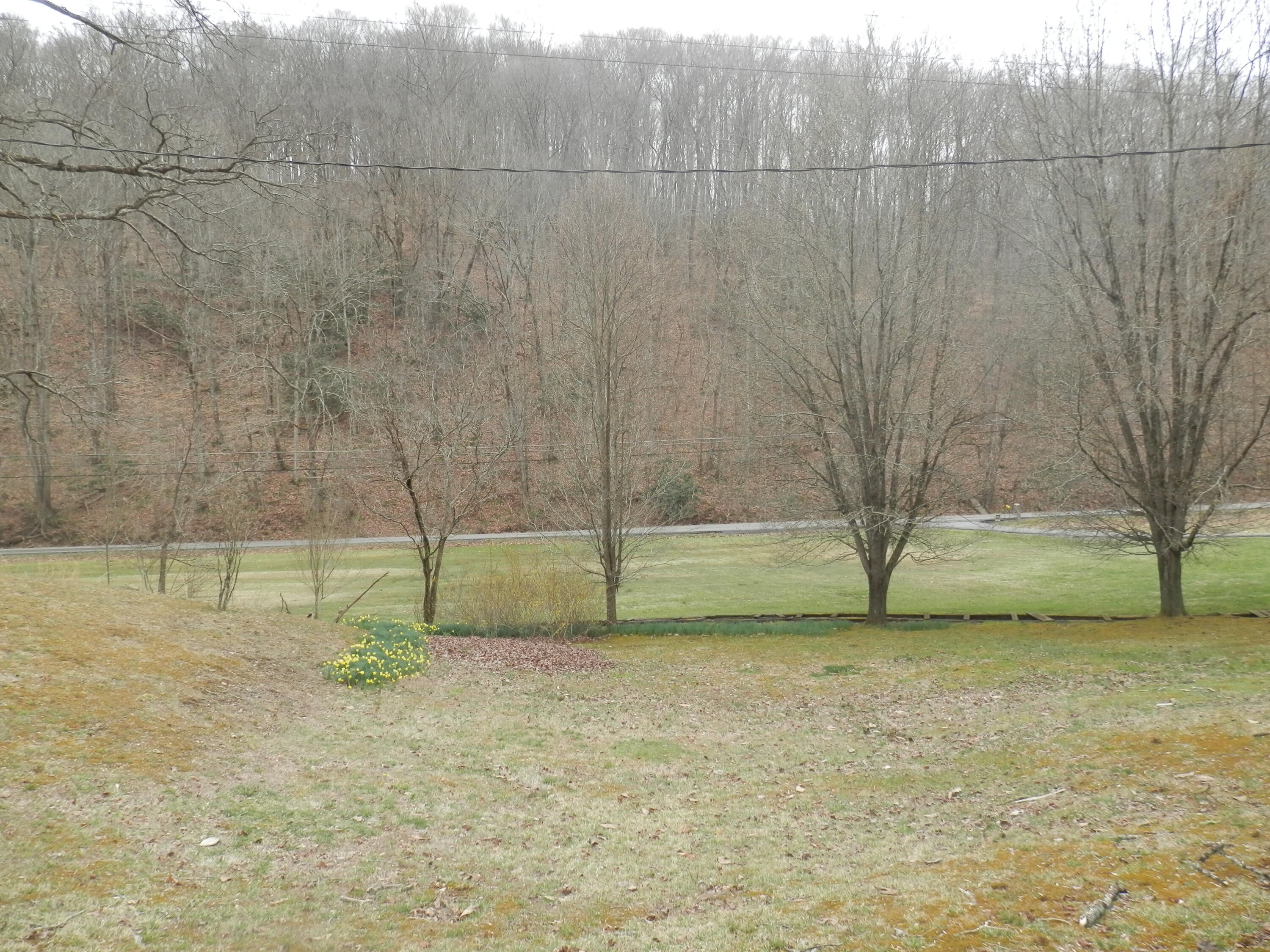 2078 Left Poor Valley Road Pennington Gap, VA 24277 - Photo 46 of 57 P3180773